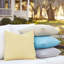 Retha Indoor/Outdoor Throw Pillow-31744707-31744715