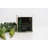Peppermint Eucalyptus Scented Jar Candle