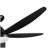 56 Inch Indoor Black Ceiling Fan With Light