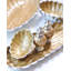Lacquer Decorative Tray-15166974