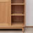 Modern simple storage shoe cabinet