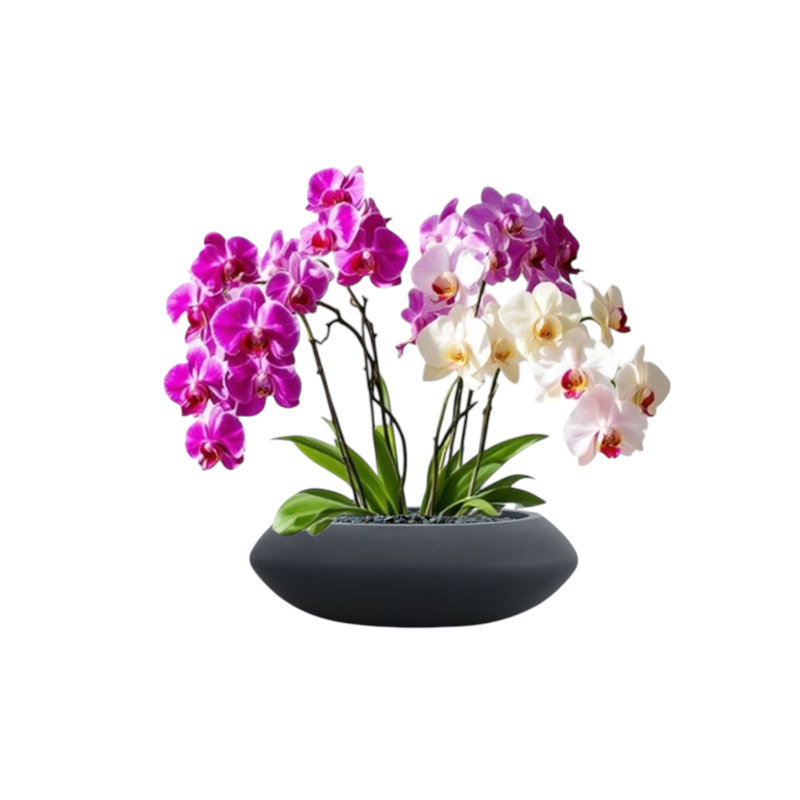 Deberry Handmade Pot Planter, Matte Black