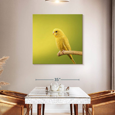 Brampt Perched Yellow Parakeet