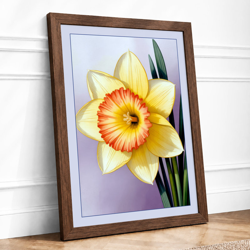 Daffodil Study Botanical - Print, Walnut, A3 - 42.0 x 29.7 cm