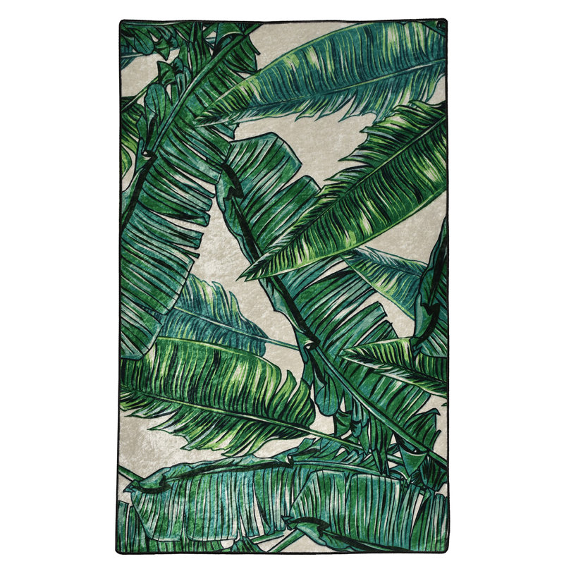 Tapis antibactérien antidérapant 100% polyester, 47,2 po x 70,9 po | Poils de 0,16 po de hauteur, lavable à la machine, base en feutre durable | Parfait pour le salon, la chambre à coucher et la salle à manger | Doux, élégant et facile à entretenir