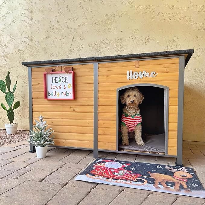 Outdoor Dog House