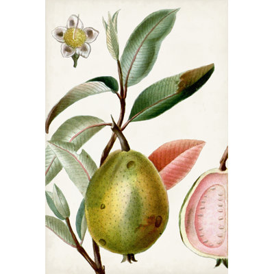 Turpin Tropical Fruit