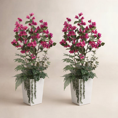Adcock 48" Bougainvillea Tree in Planter