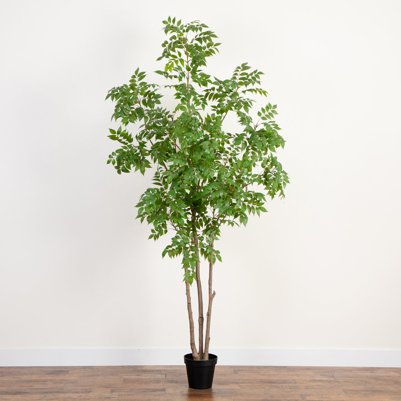 8 pi Sumac artificiel