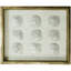Sealife Print