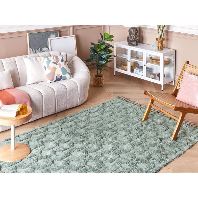 Hessmer Geometric Cotton Hand Woven Area Rug, Rectangle 140 x 200cm