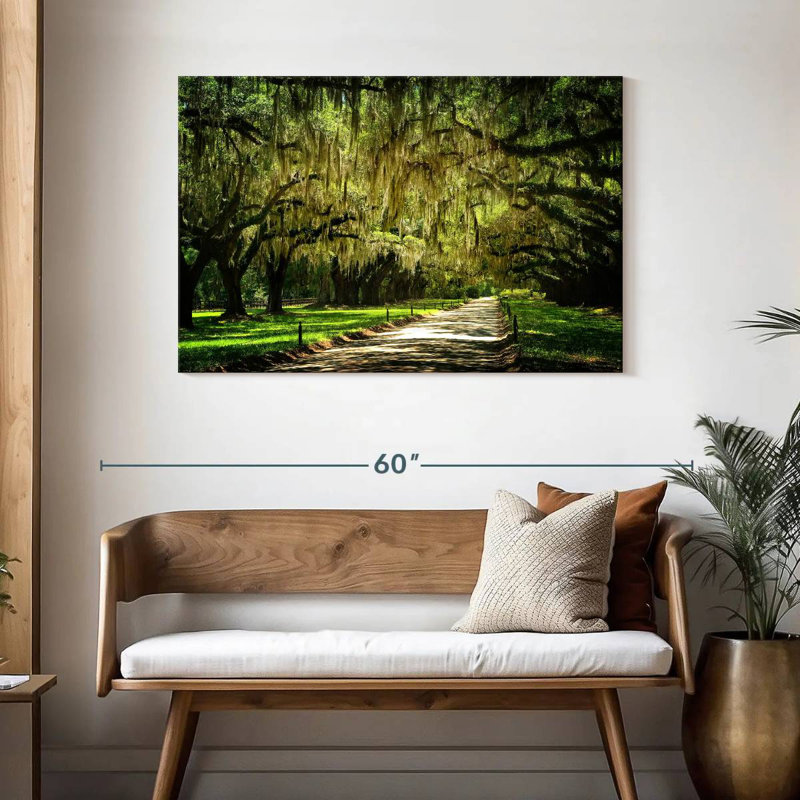 Sireci Dreamy Charleston Park, 30" H x 45" W