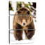 Ours grizzly en marche-106801552
