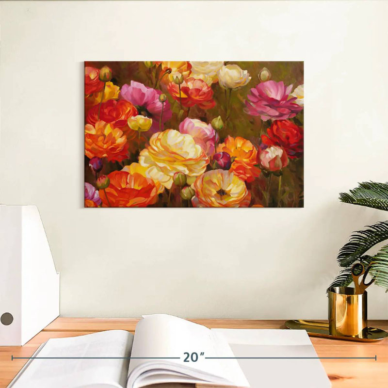 Jardin Harnek Ranunculus, H 8 po x l 12 po