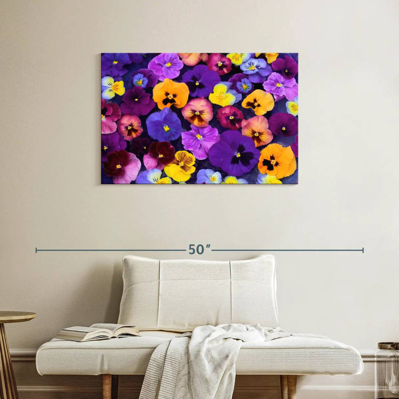Couleurs Harnek Pansy, H 24 po x l 36 po