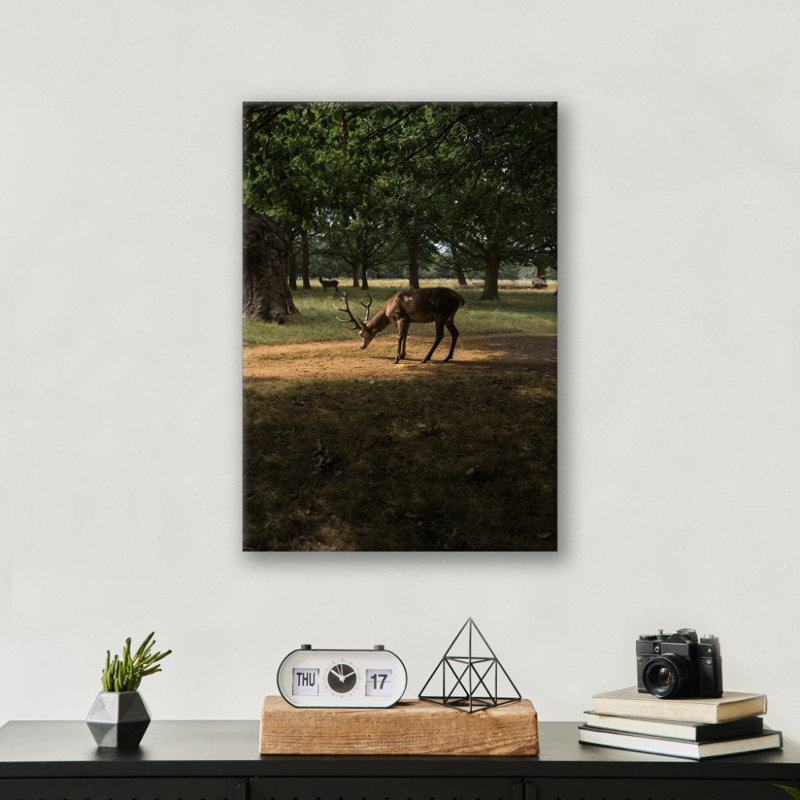Chevreuil en lumière du soleil, reproduction - Art mural de la faune, impression sur toile, art animalier de l'heure dorée - décor de chalet rustique