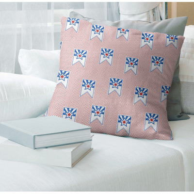 14" Throw Pillow