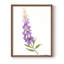 Reproduction encadrée Annie's Foxglove II - bois massif-1336949874-1336949885