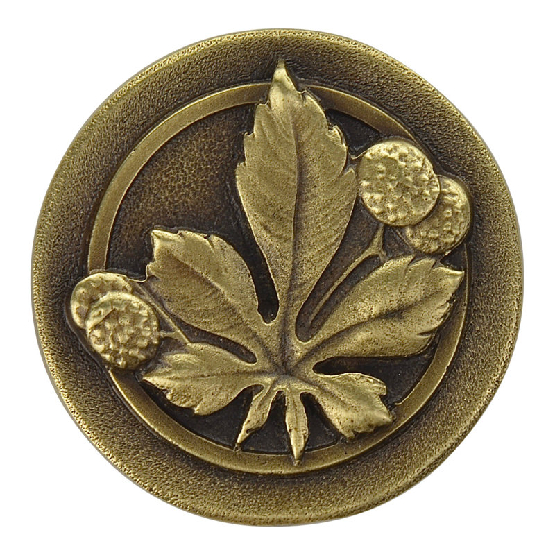 Horse Chestnut Mushroom Knob, Antique Brass
