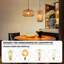 Amidat 1 - Light Bronze Unique/Statement Pendant