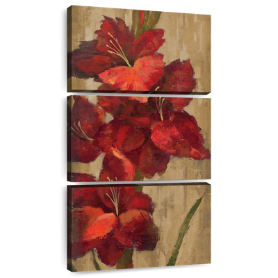 Glaïeul rouge vif