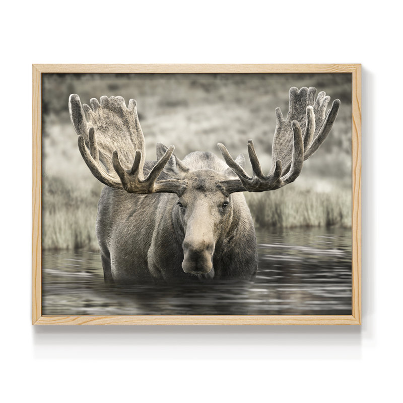 Moose Hot Springs - reproduction encadrée - réarmable, Naturel, H 16 po x l 20 po