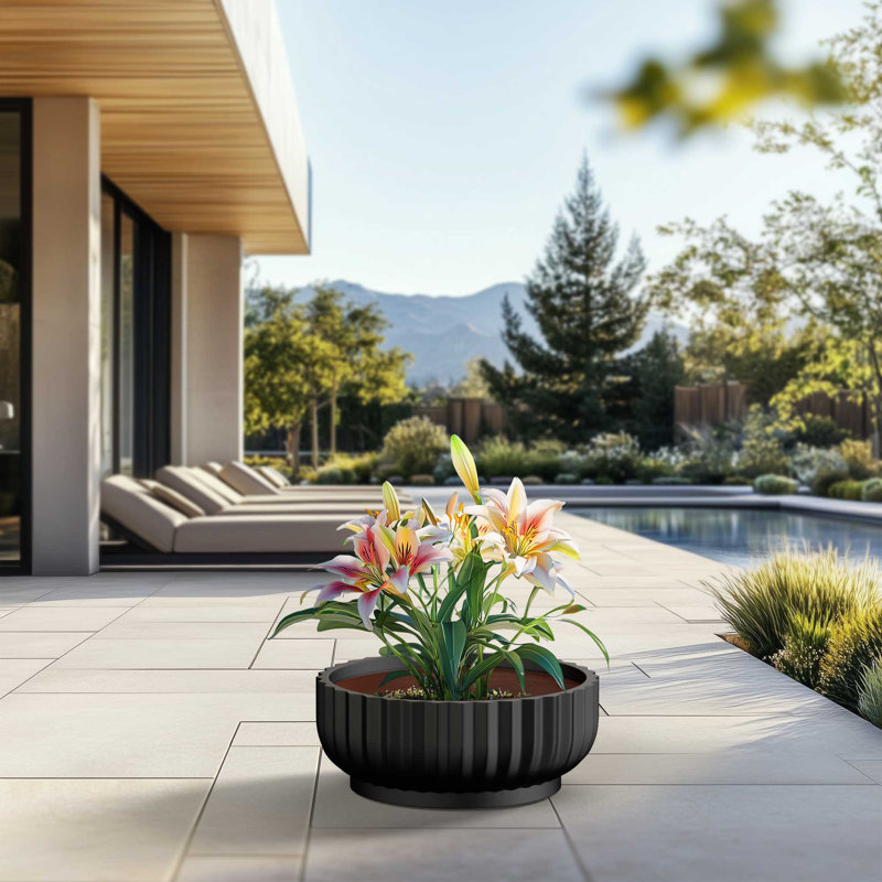 Grand pot / pot rond en béton avec trous de drainage, H 8,27 po x l 20,87 po x P 20,87 po