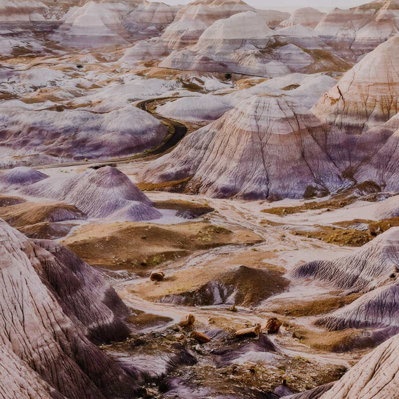 Lavender Haze By Wesley And Emma Teague, H 18" x W 24"