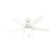 44" Bardot 5 - Blade Ceiling Fan With Lights and Pull Chains