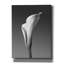 «Calla No. 4» par Photoinc Studio, art mural sur toile, 18 po x 26 po-184113019