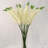 Staton Silk Daisy Arrangement
