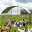 6m² Chicken Coop