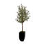 80"H Olive Tree With Faux Moss In Black Tapered Tin Planter
