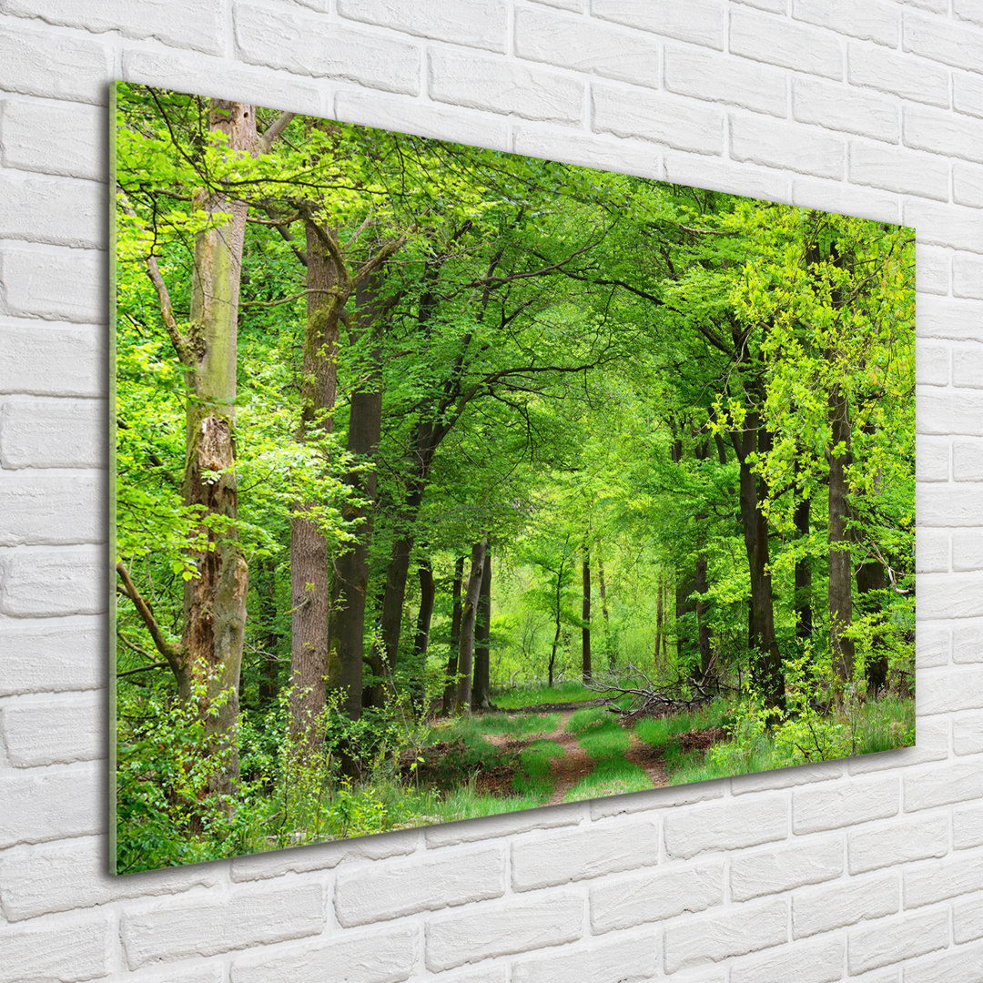 Glasbild Spring Forest