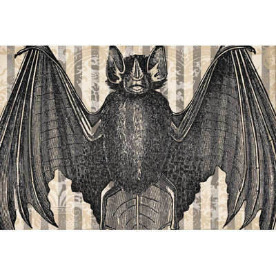 Creepy Bat - Wrapped Canvas Print