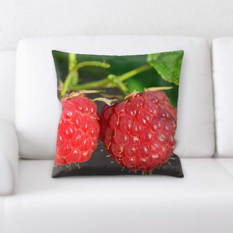 Microsuede Throw Pillow