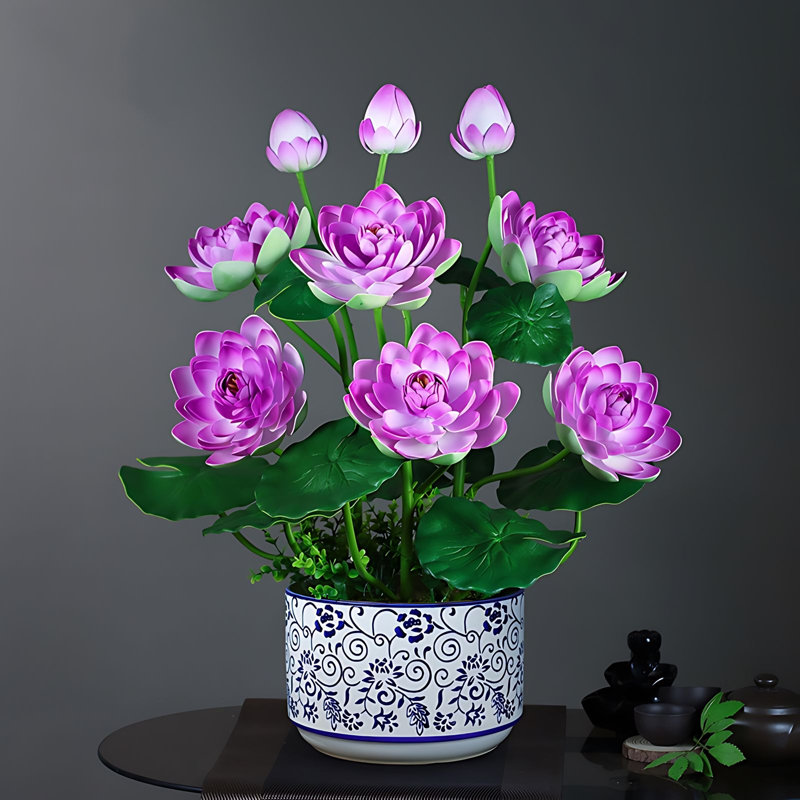 Ranunculus Arrangement in Planter, Mauve