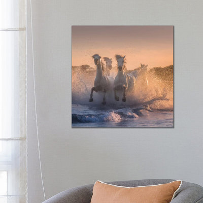 White Angels Of Camargue V by Daniel Kordan - Wrapped Canvas Print
