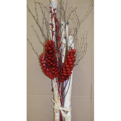 Bouquet de bouleaus, douilles et pulvérisateurs naturels