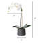 Arrangement floral orchidée en pot-70050655