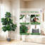 Ensemble de 2 arbres à figuier artificiel 5 pi, 2, 77 feuilles, jardinières grises, décoration d'intérieur