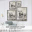 ANIMALS Series CCXCV III, reproduction encadrée - bois massif-213172080