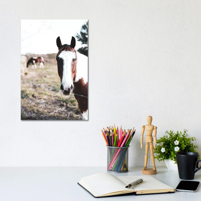 Front And Center by Melissa Hanley - Wrapped Canvas Print