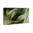 " Olive Perspective "-262284094