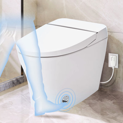 Compact Dual Flush Toilet With Self-Cleaning Wand, Foot Sensor Flush, White Night , Knob Control, Cold Water Wash, Strong Soft Close, , Immaculate Smart 1/1.28 ,