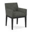 Upholstered Arm Chair-35998756-35998971