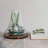 Reclaimed Glass Cloche With Mango Wood Base