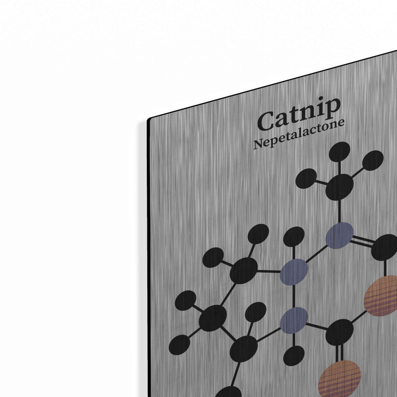 Art mural en métal «Catnip Molecule» par Luxe Portfolio par Ebern Designs, H 16 po x l 12 po