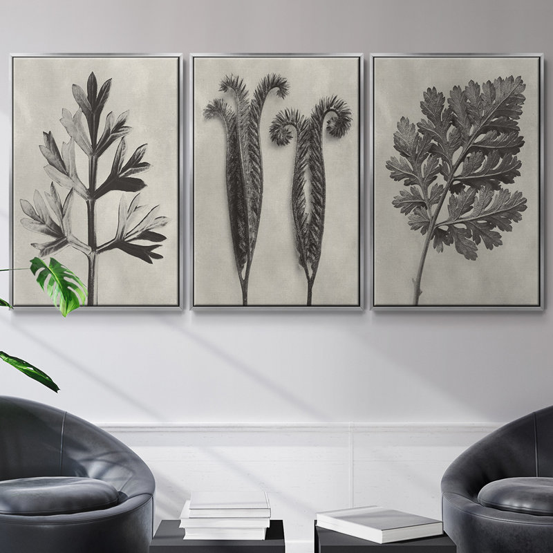 Blossfeldt Botanical I 3 pièces, H 40 po x l 78 po, Argent