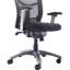 Executive Chair with Headrest
